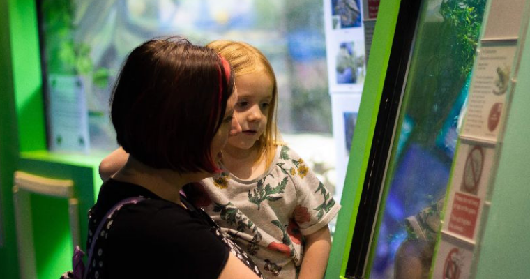 The World Museum Liverpool (1)