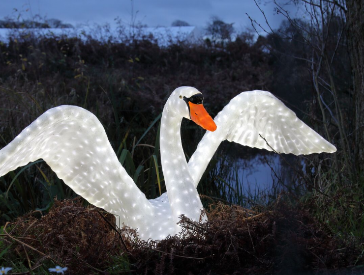 Liverpool Knowsley Safari