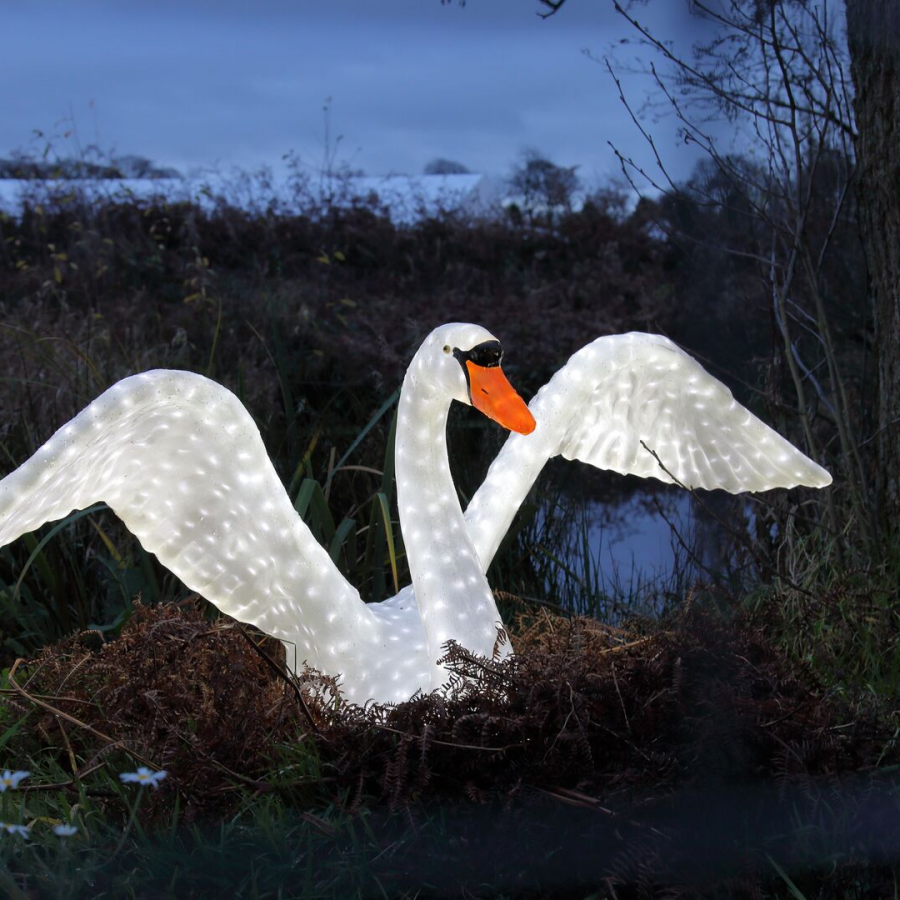 Liverpool Knowsley Safari