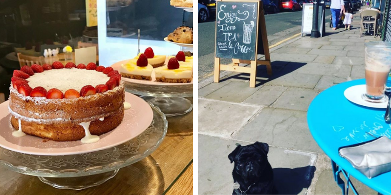 10 dog friendly restaurants in liverpool 