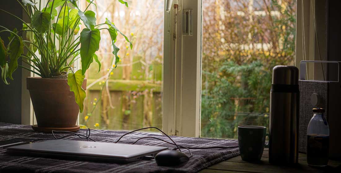 home office plants for productivity