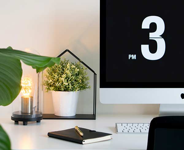 home office plants for productivity