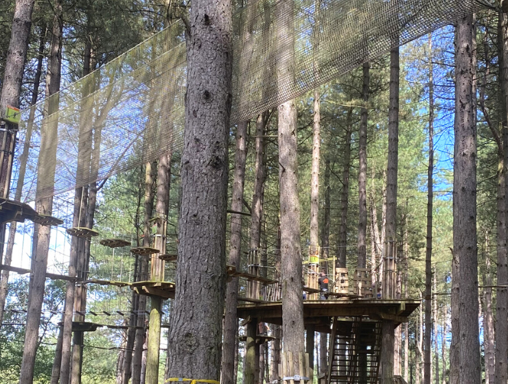 Delamere go ape adventure