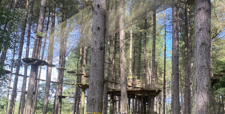 Delamere go ape adventure