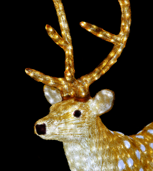 Christmas light display at Knowsley Safari