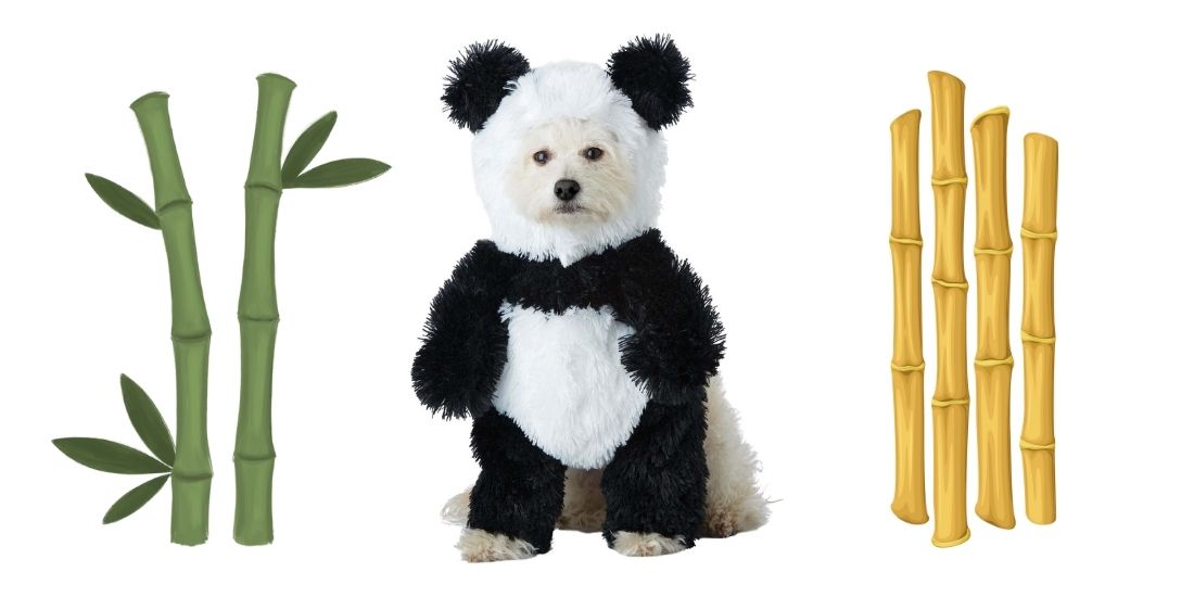 Best Dog Halloween Costumes for Liverpool’s Beloved Pups