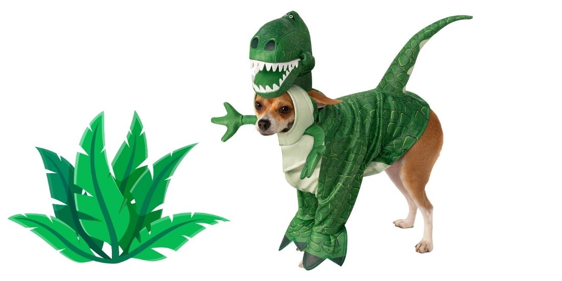 Best Dog Halloween Costumes for Liverpool’s Beloved Pups