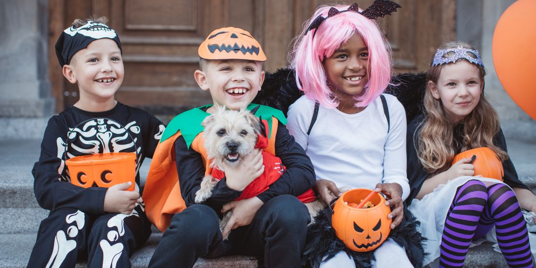 Best Dog Halloween Costumes for Liverpool’s Beloved Pups