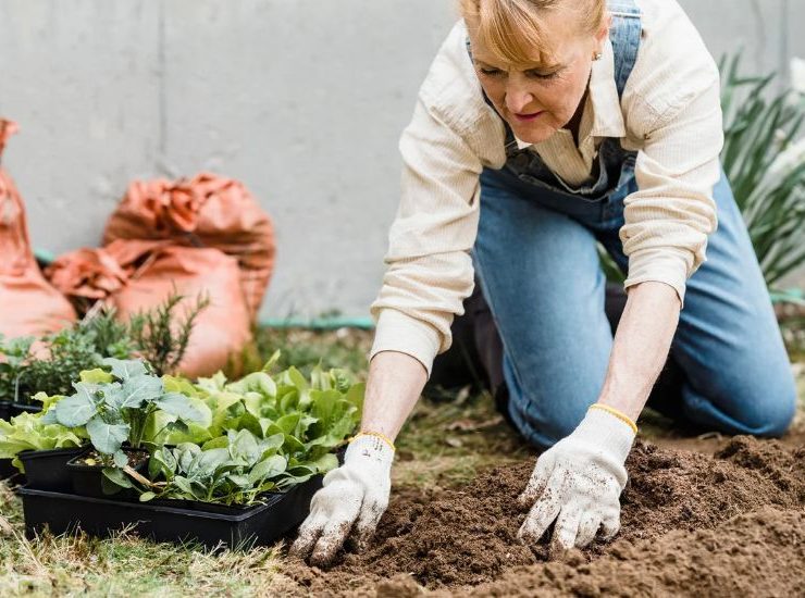 Unique Garden Ornaments & Gardening Gifts