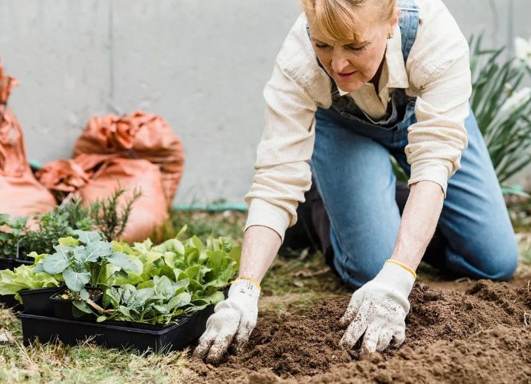Unique Garden Ornaments & Gardening Gifts