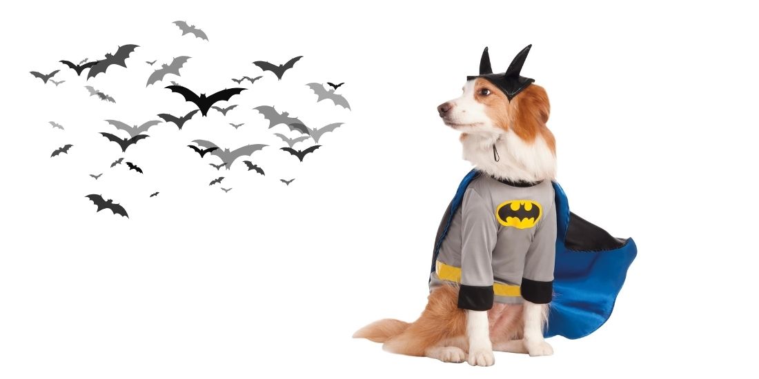 Best Dog Halloween Costumes for Liverpool’s Beloved Pups