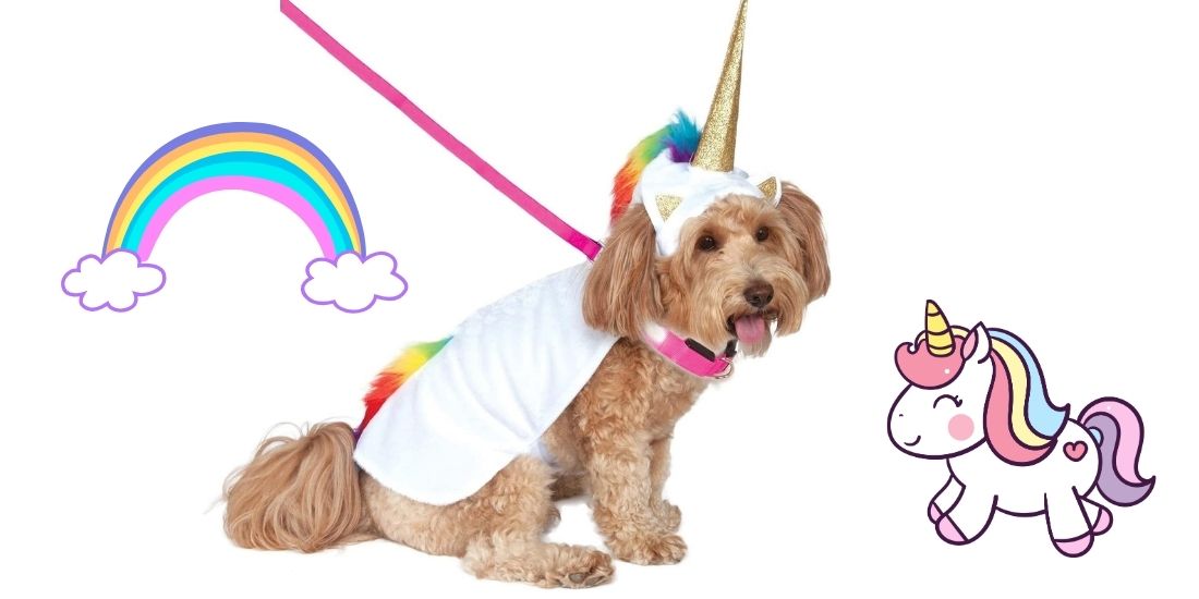 Best Dog Halloween Costumes for Liverpool’s Beloved Pups