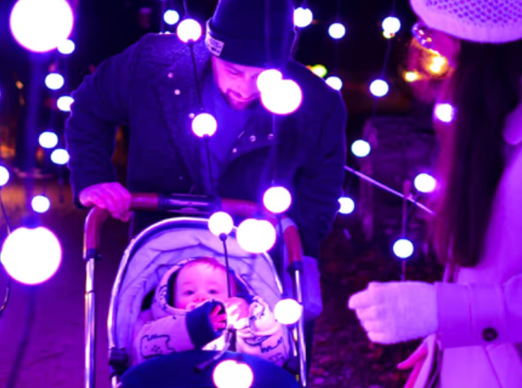 Christmas Lights Near Me