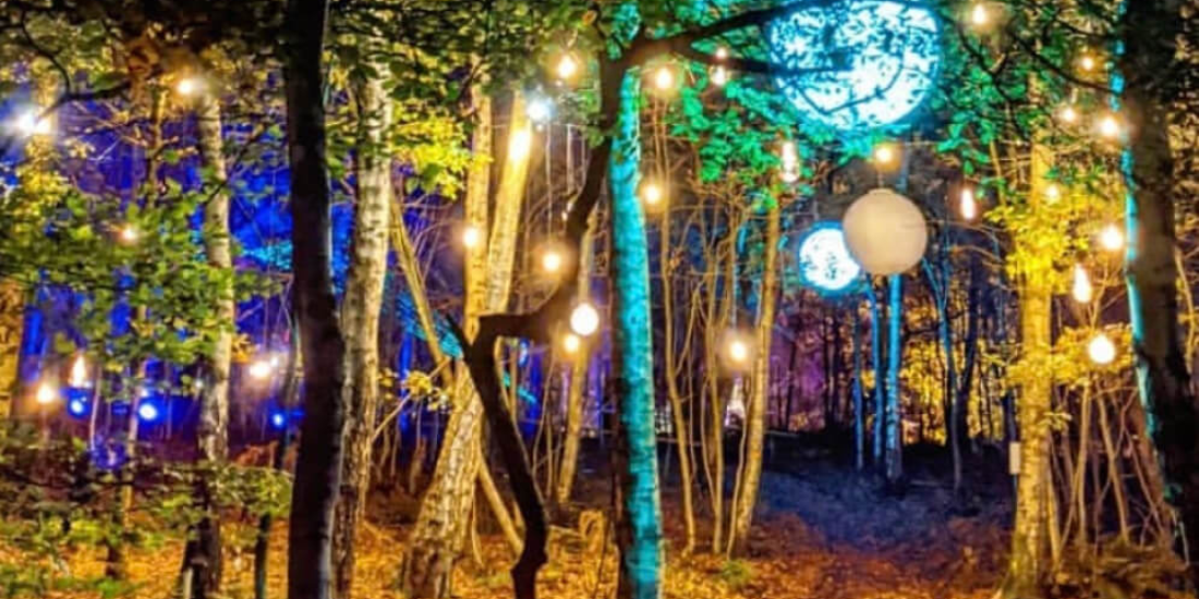 Christmas Lights Near Me