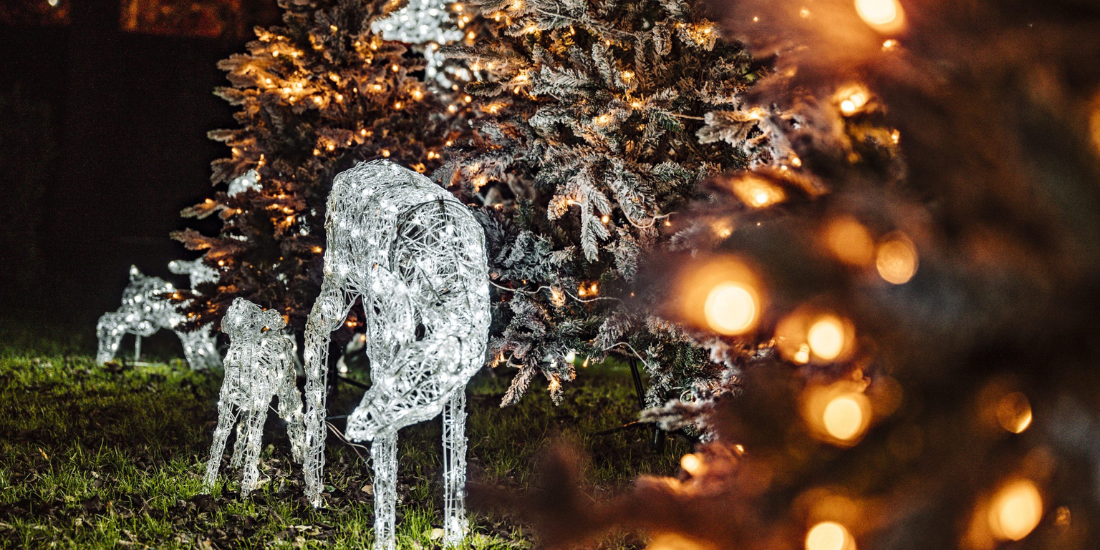 Christmas Lights Near Me
