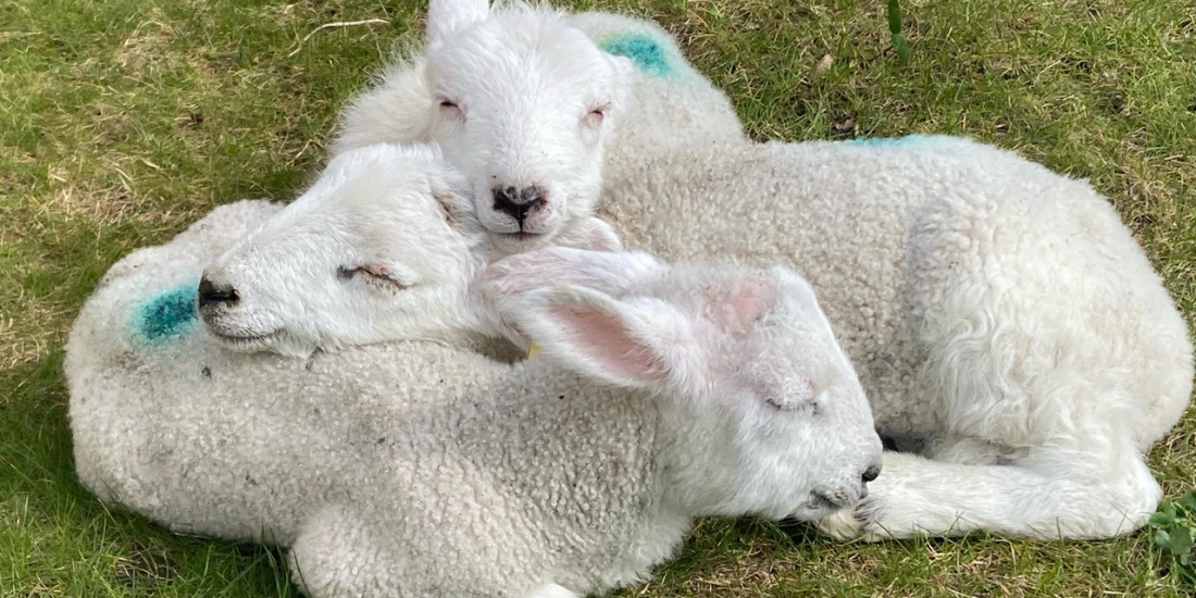 Best Easter things to do in Liverpool 2025