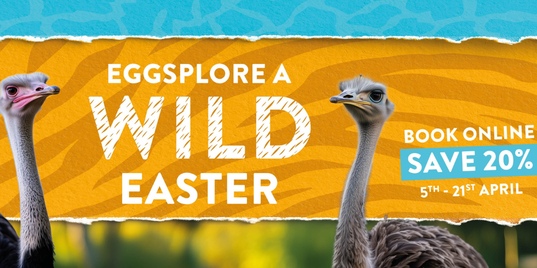 Best Easter things to do in Liverpool 2025