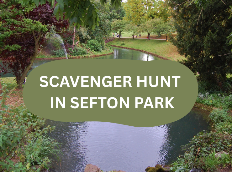 The Ultimate Autumn Scavenger Hunt in Sefton Park