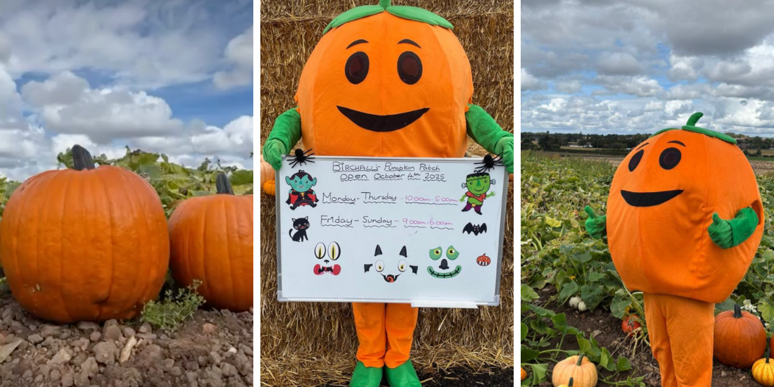 Liverpool Pumpkin Picking 2025