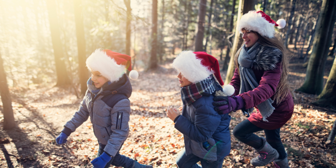  Santa’s Secret Forest 