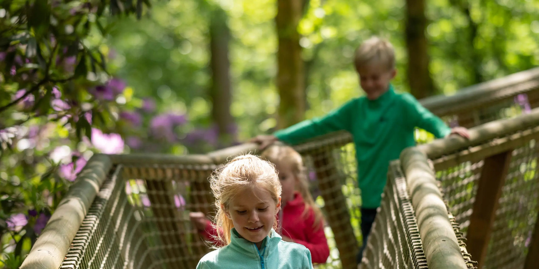BeWILDerwood Cheshire