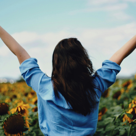 sunflower fields and liverpool farms