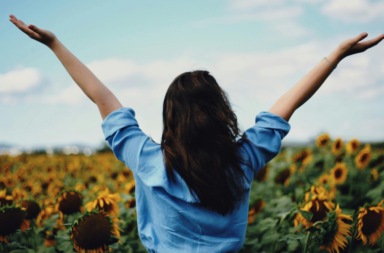 sunflower fields and liverpool farms