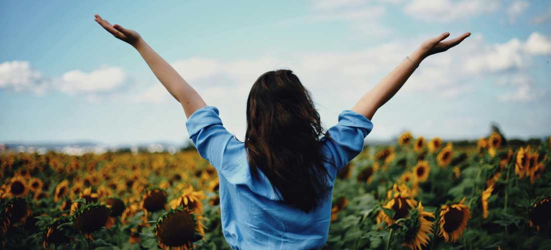 sunflower fields and liverpool farms