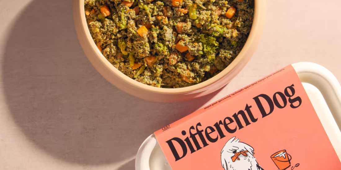Different Dog: We Put Liverpool's Freshest Subscription Dog Food To The Test