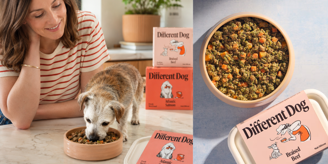 Different Dog: We Put Liverpool's Freshest Subscription Dog Food To The Test