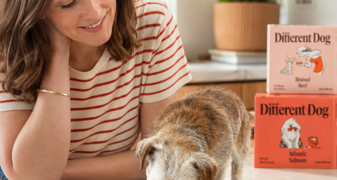 Different Dog: We Put Liverpool's Freshest Subscription Dog Food To The Test