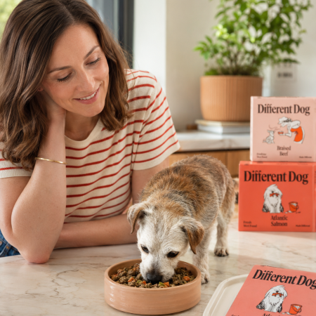 Different Dog: We Put Liverpool's Freshest Subscription Dog Food To The Test