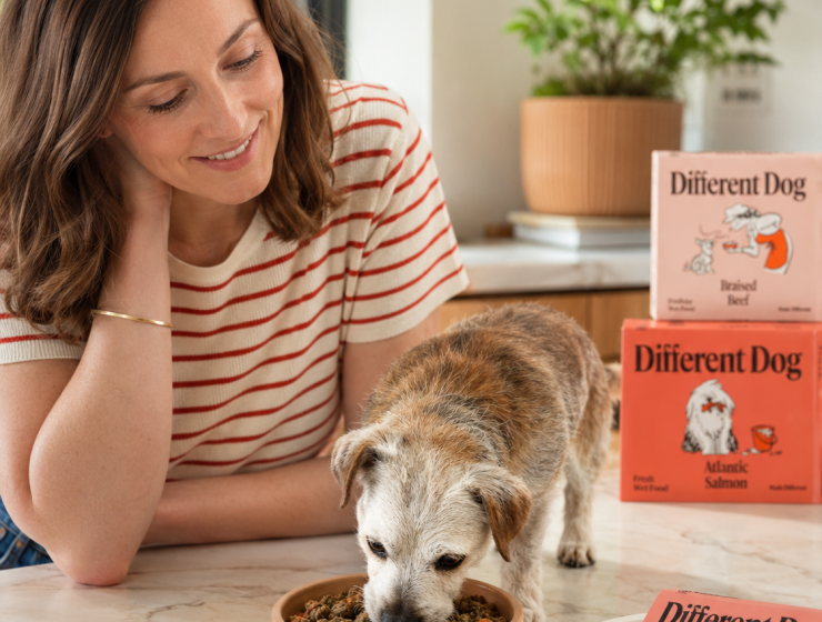 Different Dog: We Put Liverpool's Freshest Subscription Dog Food To The Test