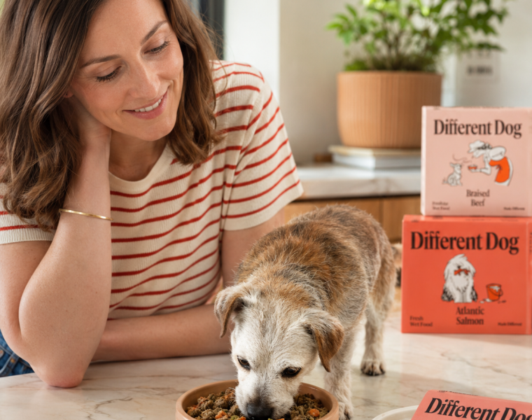 Different Dog: We Put Liverpool's Freshest Subscription Dog Food To The Test