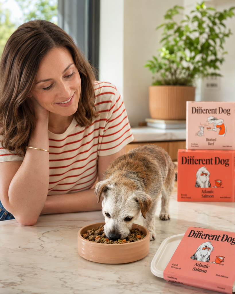 Different Dog: We Put Liverpool's Freshest Subscription Dog Food To The Test