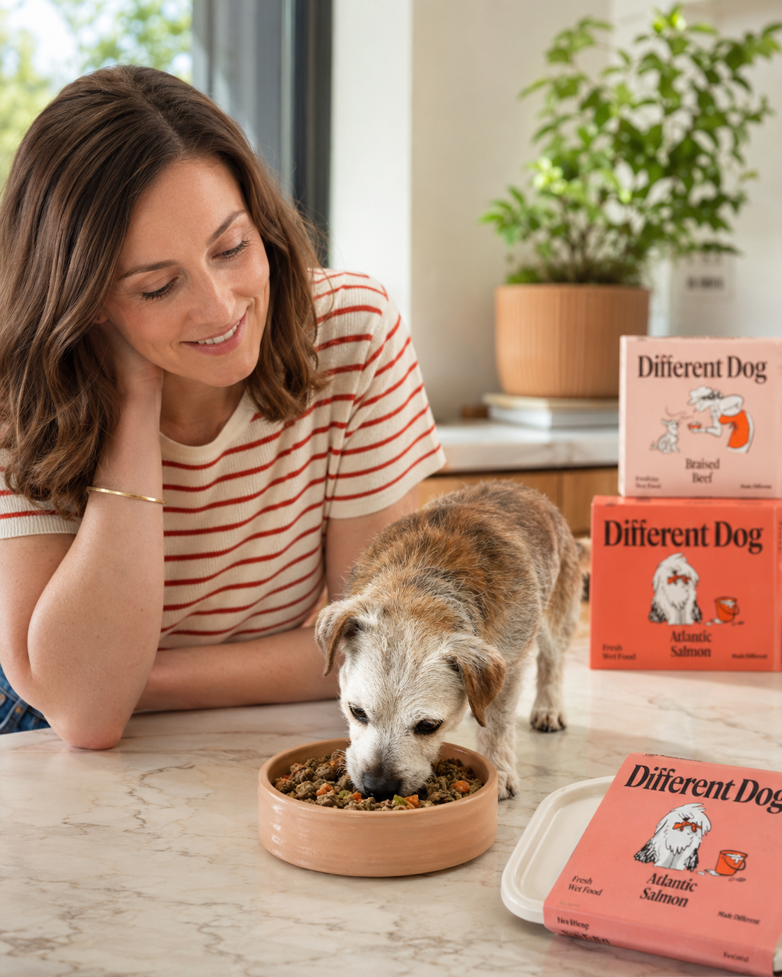 Different Dog: We Put Liverpool's Freshest Subscription Dog Food To The Test