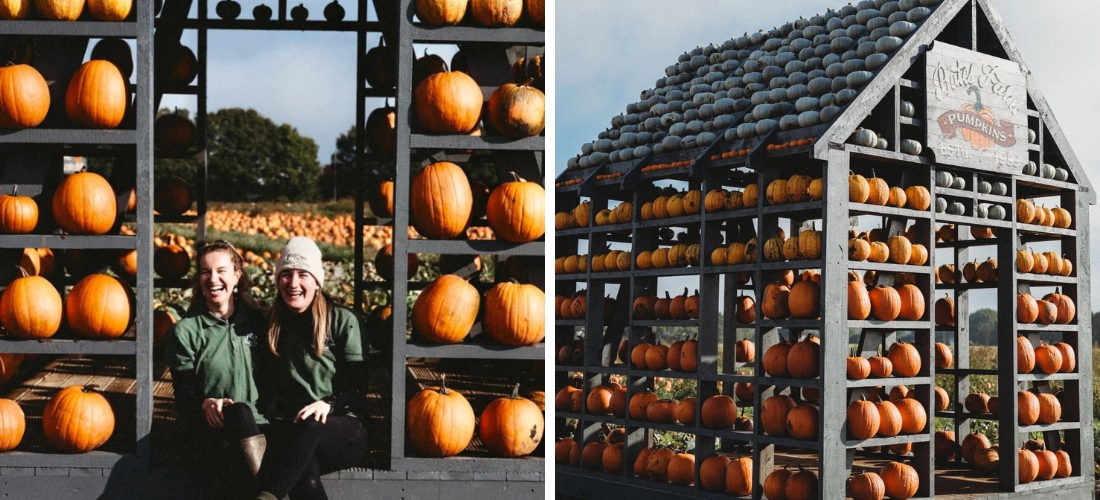 liverpool pumpkin patches
