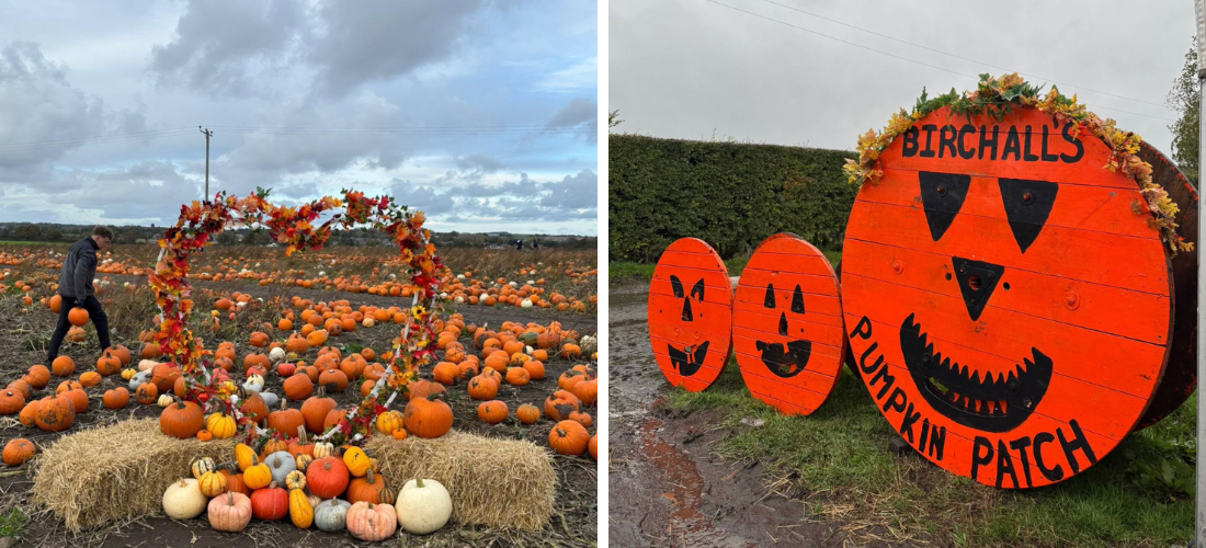 liverpool pumpkin patches