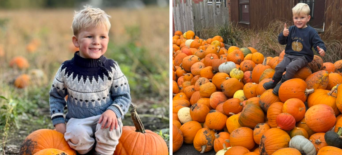 liverpool pumpkin patches