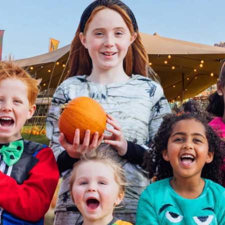 liverpool pumpkin patches