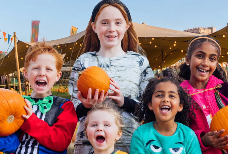 liverpool pumpkin patches