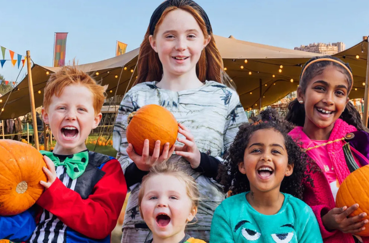 liverpool pumpkin patches
