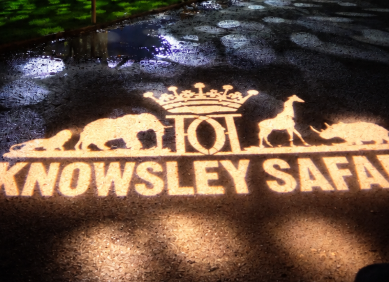 Knowsley Safari’s Enchanted Christmas 2026