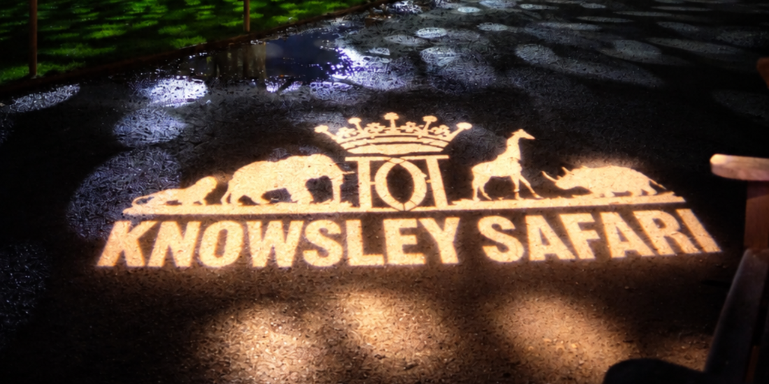 Knowsley Safari’s Enchanted Christmas 2026