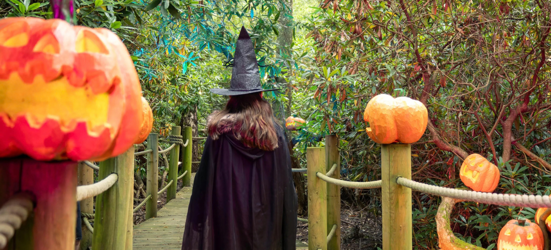 Kids Halloween Events in Liverpool 2026