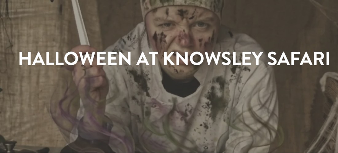 Kids Halloween Events in Liverpool 2026