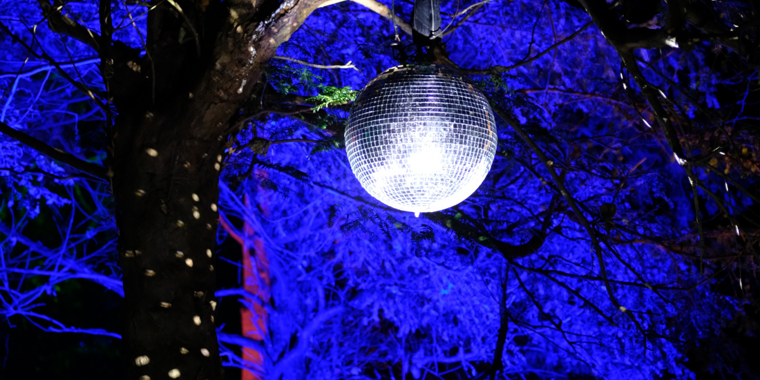 Knowsley Safari’s Enchanted Christmas 2026