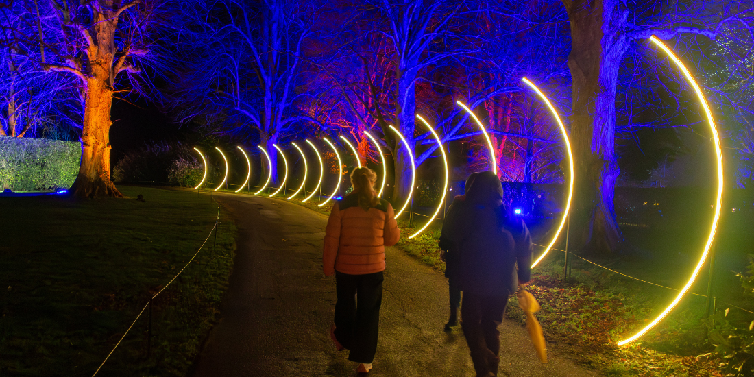 Knowsley Safari’s Enchanted Christmas 2026